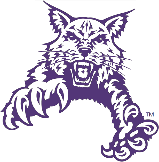 Abilene Christian Wildcats 1997-2012 Partial Logo v2 DIY iron on transfer (heat transfer)